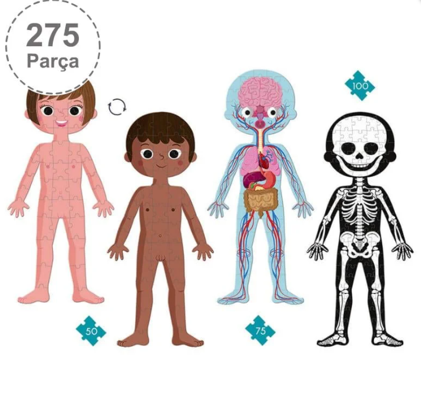 JanodJanod Öğretici Puzzle - İnsan Vücudu 4'lü Setj02681