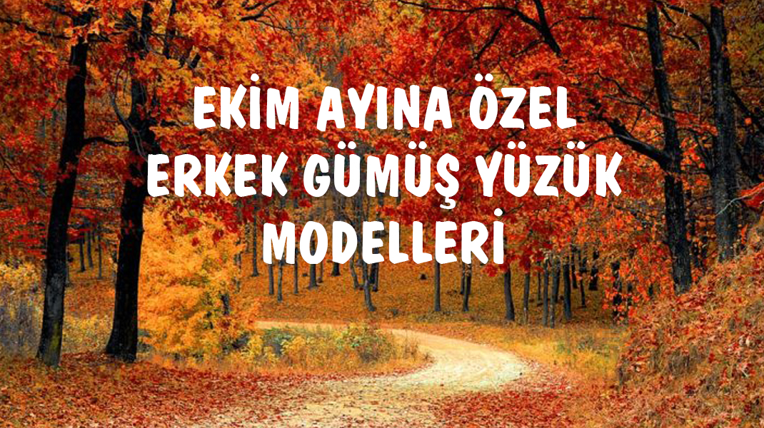 Ekim Ayına Özel Erkek Gümüş Yüzük Modelleri