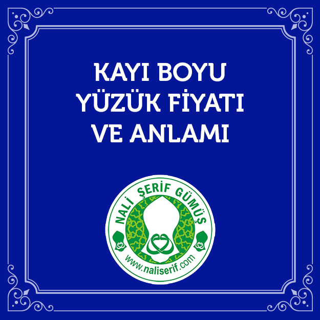 Kayı Boyu Yüzük Fiyatı ve Anlamı
