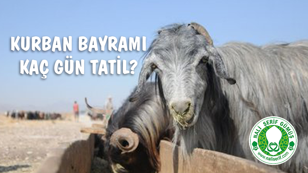 Kurban Bayramı Kaç Gün Tatil?