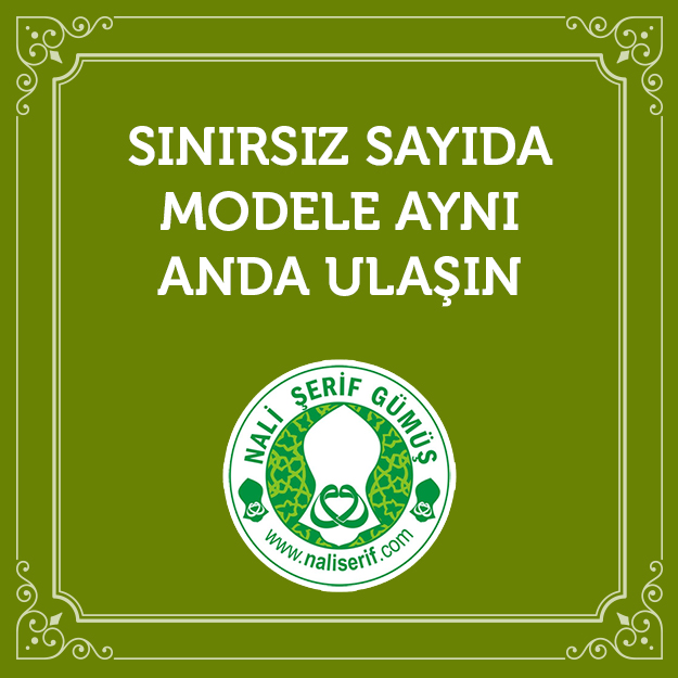 Sınırsız Sayıda Modele Aynı Anda Ulaşın