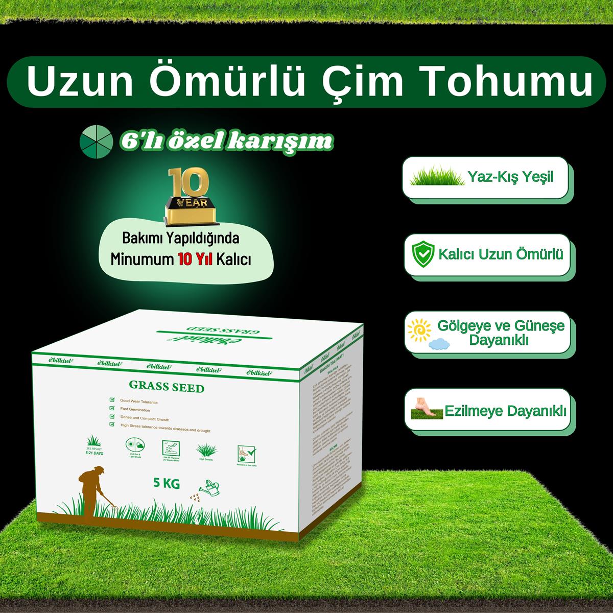 Ebitkisel Çok Yıllık Çim Tohumu Uzun Ömürlü 6'lı Karışım Gölge ve Aşırı Güneşli Alan Uygun Yetiştirilmesi Kolay 4 Mevsim Yeşil