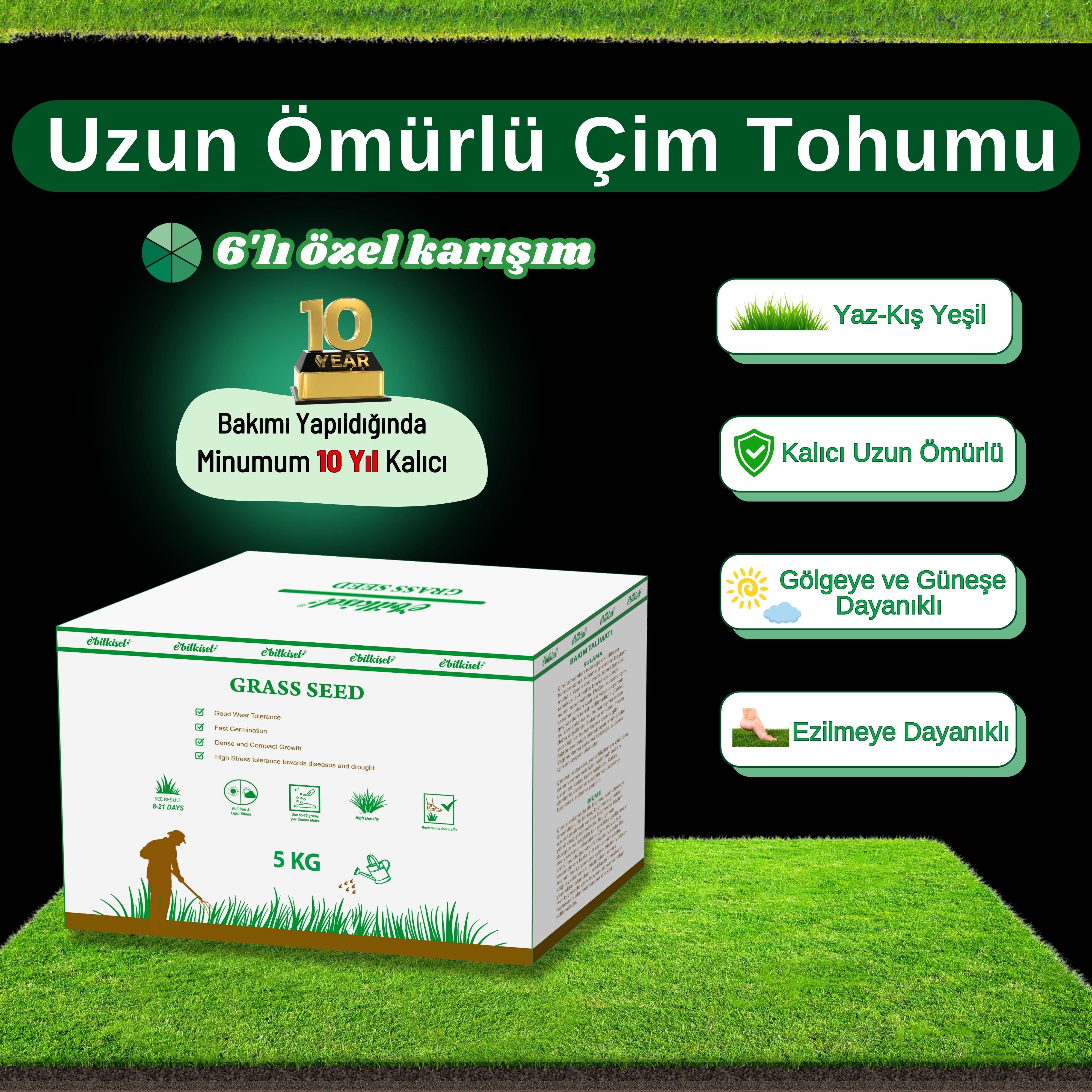 Ebitkisel Çok Yıllık Çim Tohumu Uzun Ömürlü 6'lı Karışım Gölge ve Aşırı Güneşli Alan Uygun Yetiştirilmesi Kolay 4 Mevsim Yeşil