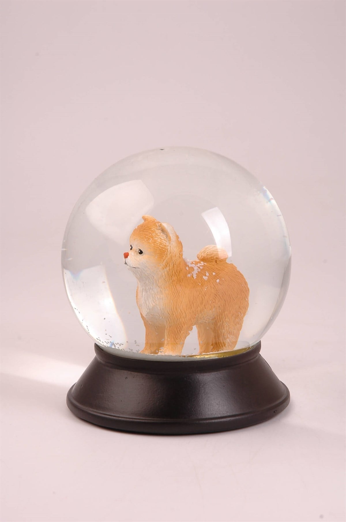 Koleksiyon Serisi Sarı Pomeranian Köpekli  Kar Küresi