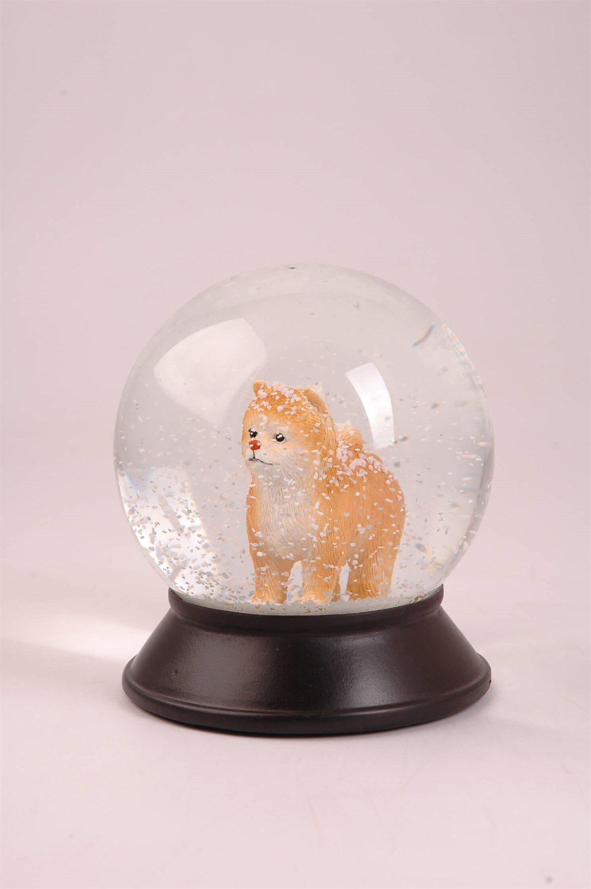 Koleksiyon Serisi Sarı Pomeranian Köpekli  Kar Küresi