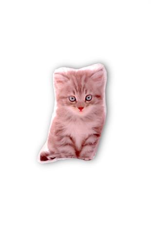 30cm Yavru Kedi Mavi Gözlü Yastık