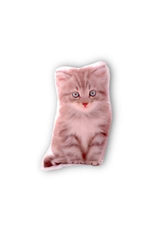 30cm Yavru Kedi Mavi Gözlü Yastık