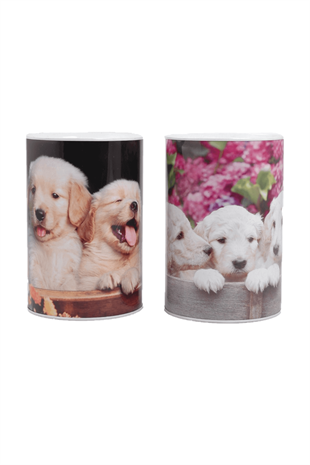 Köpek Resimli Teneke Kumbara