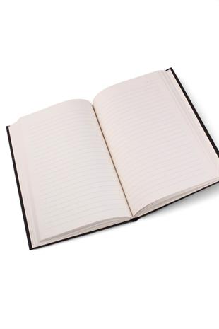 Simli Akrep Burcu Çizgili Defter