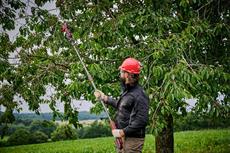 Einhell GP-LS 18/28 Li T BL - Solo, Akülü Budama Makası (Akü ve Şarj Cihazı Dahil Değildir) - 3408330