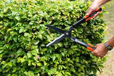 Black&Decker BXGTT07030 Çit Budama Makası 21 İnç Dalgalı Bıçaklı