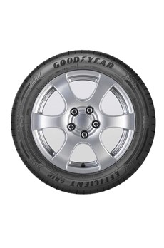 Goodyear Efficientgrip Performance 205/55R16 91V Yaz Lastiği (2024)