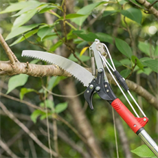 WORKPRO WP333006 270cm 2 IN 1 Teleskobik Saplı Profesyonel Ağaç Budama Testeresi ve 25mm Dal Budama Makası