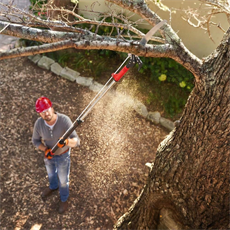 WORKPRO WP333006 270cm 2 IN 1 Teleskobik Saplı Profesyonel Ağaç Budama Testeresi ve 25mm Dal Budama Makası