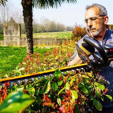 WORX WG263E 20Volt 4.0Ah. Li-ion Tek Akülü 57CM Profesyonel Çit Budama 