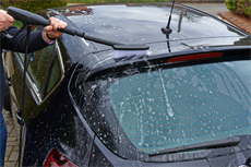 Bosch F.016.800.359 Yıkama Fırçası