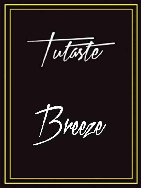 Breeze (Çubuklu) 150 ML