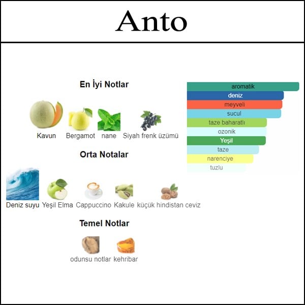 seduction muadil parfum