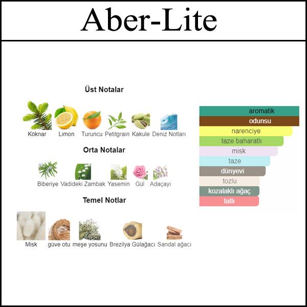 Abercromb Fierce [Aber-Lite] 250 ML (Erkek)
