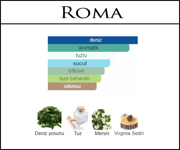 Profumum roma - acqua di sale acik parfum
