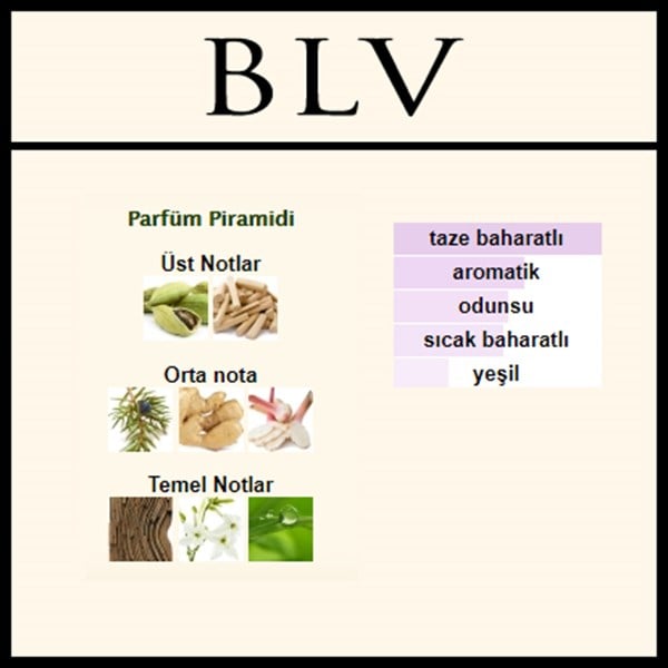 AKKO BLV MEN [BLV]