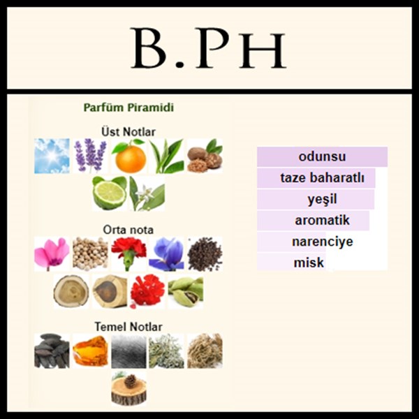 AKKO POUR HOMME [B.Ph]