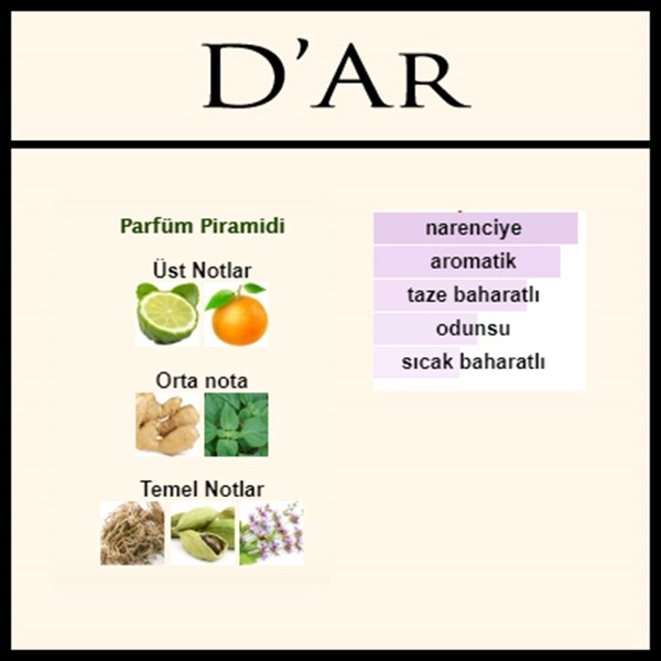 Armani d aromes notalar