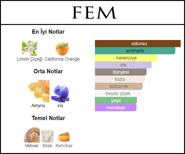 dolum parfum