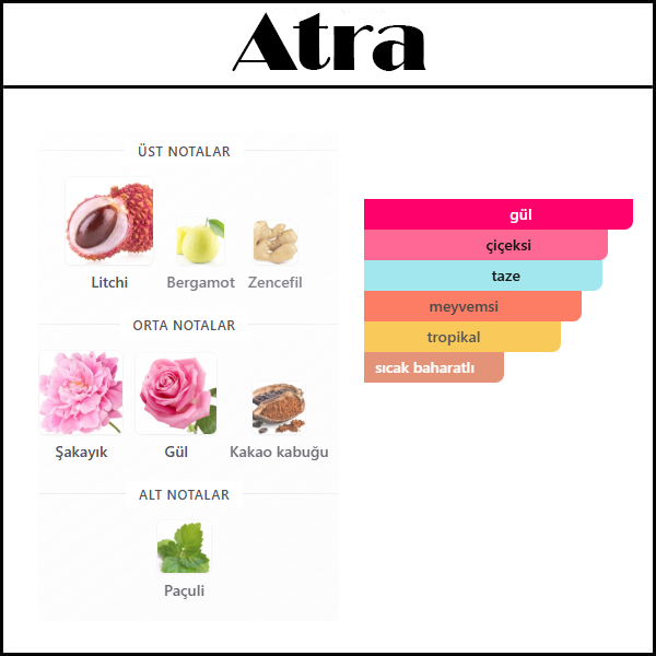 ATTRAPE REV. [Atra] 50 ML 