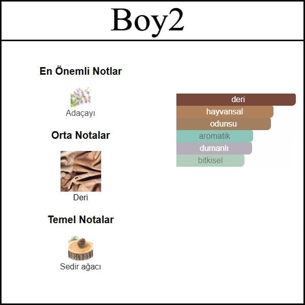 BAD BOY ELIXIR [Boy2] 50 ML