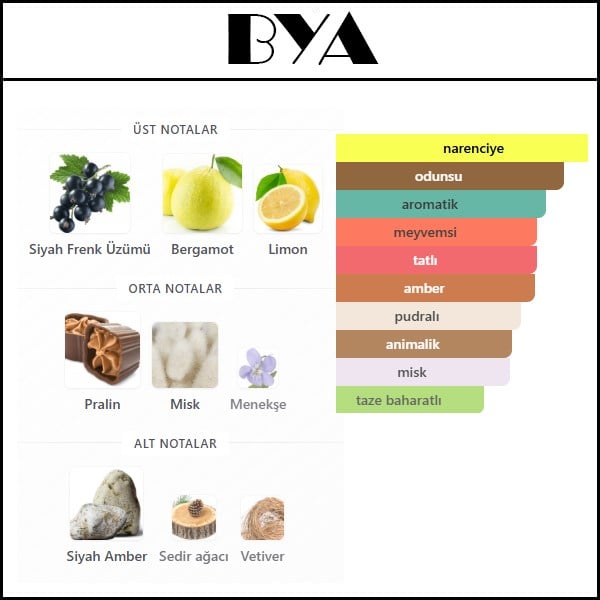 BALDAFRIK ABSOLU [BYA] 50 ML