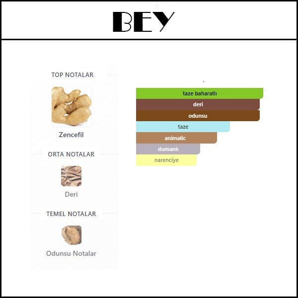 BOTLIT BEYOND [BEY] 50 ML