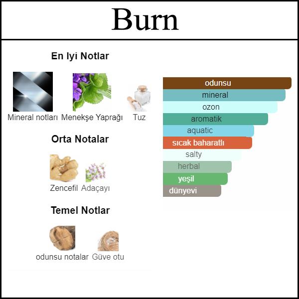 BURN IN ROMA MEN [Burn] 50 ML