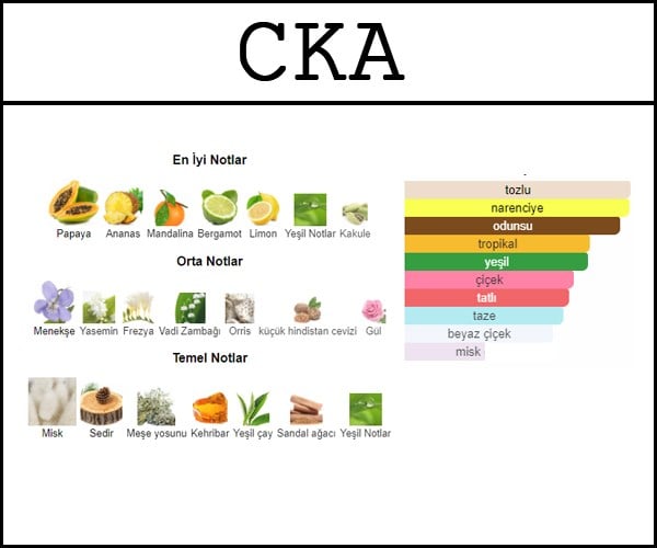 yeni ck one