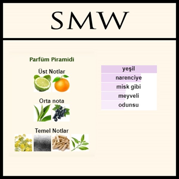 Creed Silver Mountain water açık parfüm