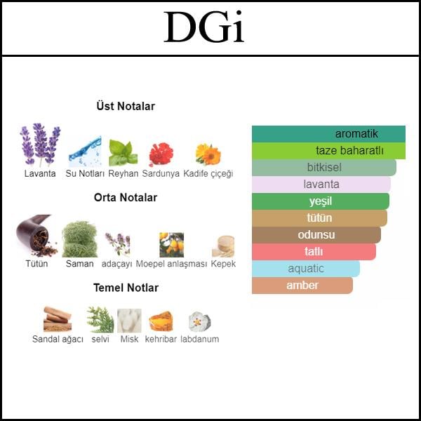 DG INTENSO [DGi] 50 ML
