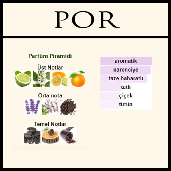 Dolce & Gabbana Pour Homme Erkek Parfümü