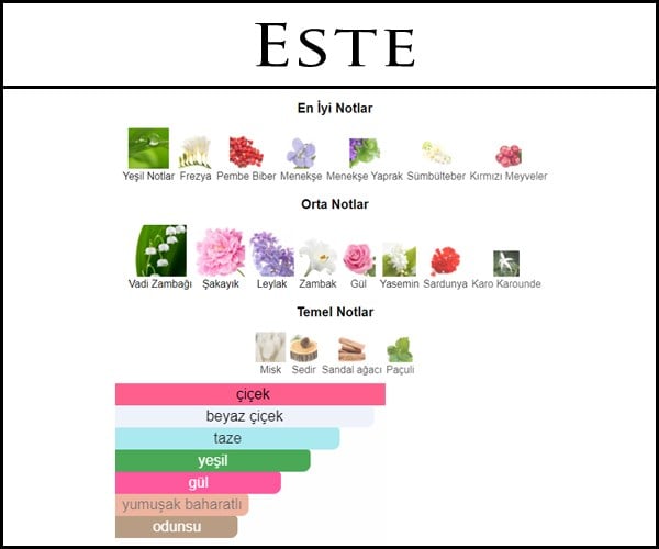 en iyi açık parfüm markaları
