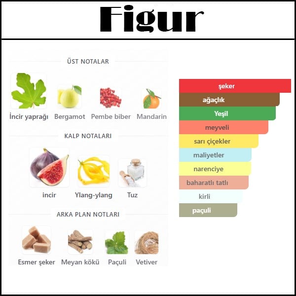 FIGUE EROTIQUE [Figur] 50 ML