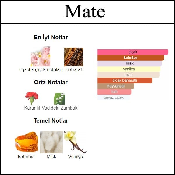 kalici muadil parfum