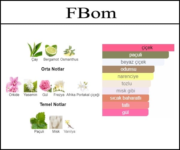 dolum parfum