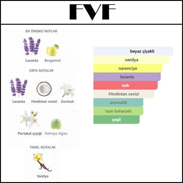 FLOWERS & FLAMES [FVF] 50 ML