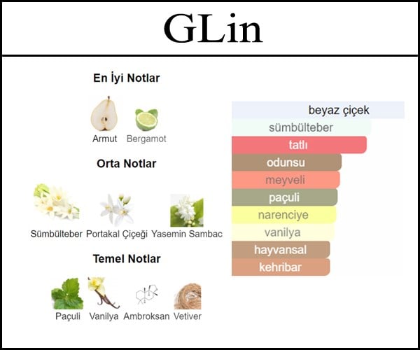 en iyi acik parfumler