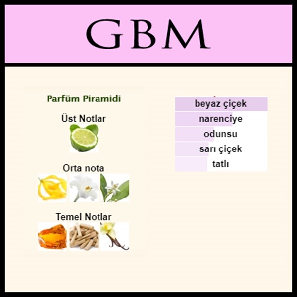 Gucci - Bamboo