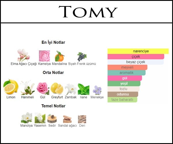 Tommy girl acik parfum