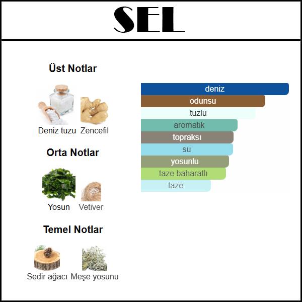 LE SEL DESSEY [SEL] 50 ML