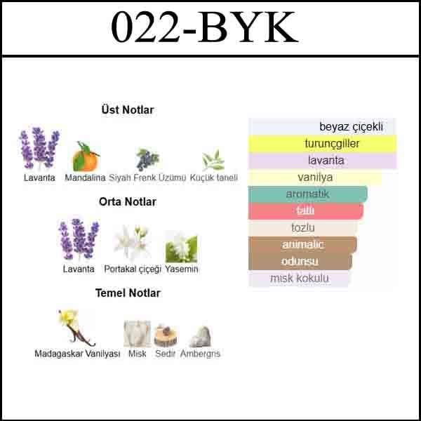 Libre [022-BYK] 250 ML (Kadın)