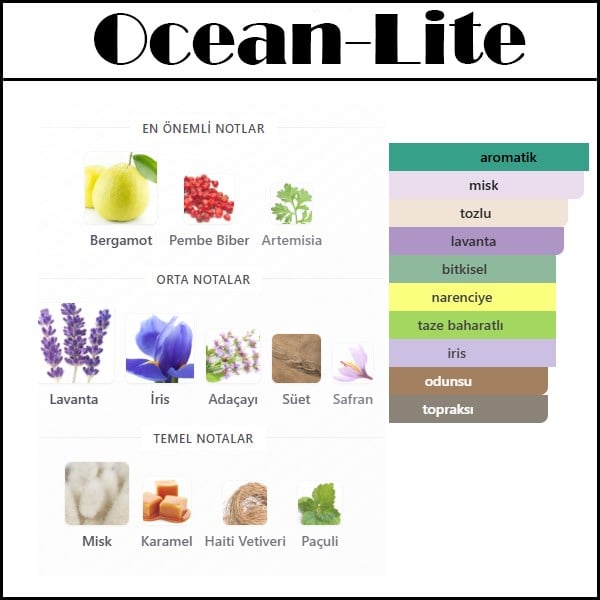 LN.RS OCEAN 2021 [Ocean-Lite] 250 ML ERKEK