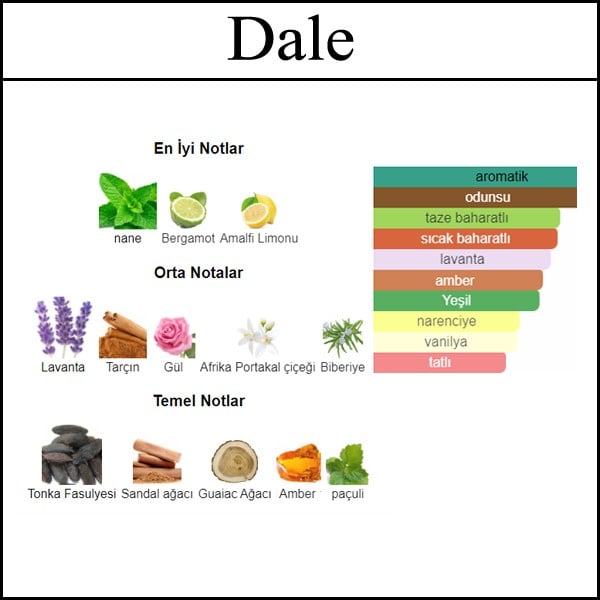 En iyi mudail parfum