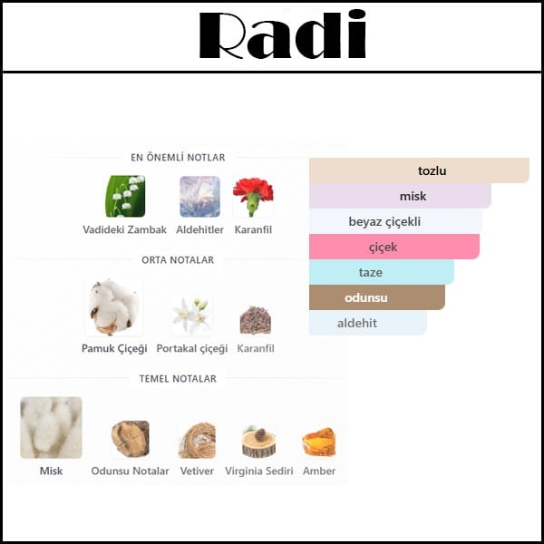 NARCI RADIANTE 2025 [Radi] 50 ML